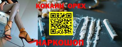 прущие грибы Кингисепп