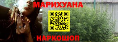 прущие грибы Кингисепп