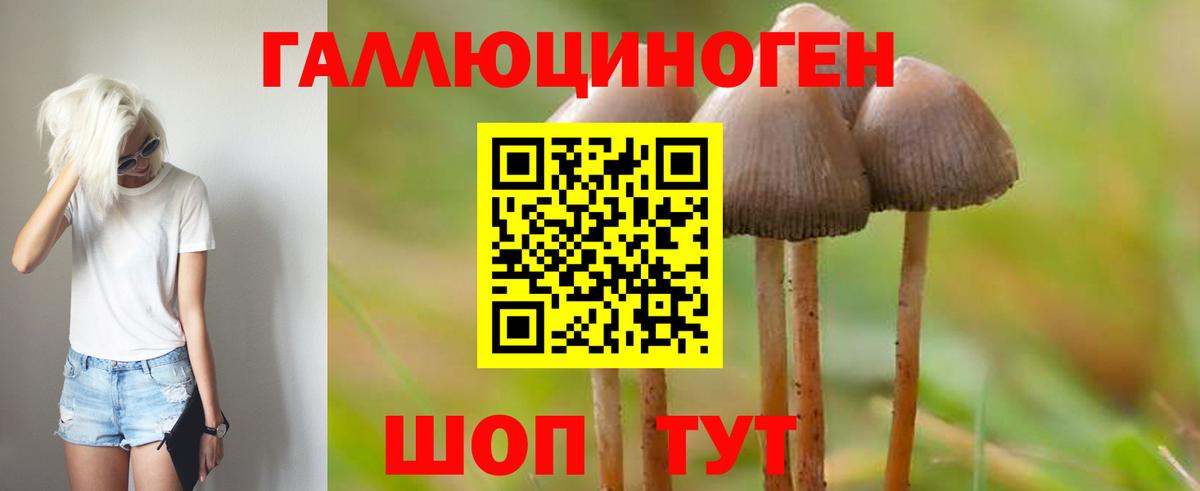 Галлюциногенные грибы мицелий Красный Сулин